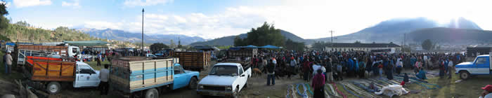 Early morning animal market - Otavalo